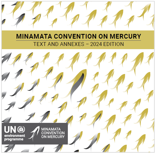 Minamata Convention booklet Oct 2024 Minamata Convention booklet Oct 2024