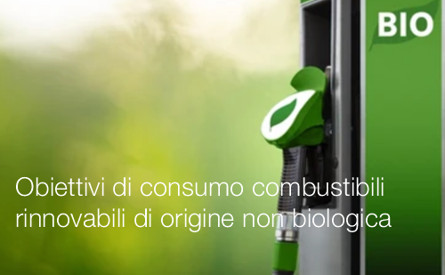 Orientamenti obiettivi di consumo per i combustibili rinnovabili di origine non biologica Orientamenti obiettivi di consumo per i combustibili rinnovabili di origine non biologica