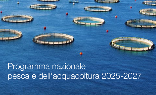 Programma nazionale della pesca e acquacoltura 2025 2027