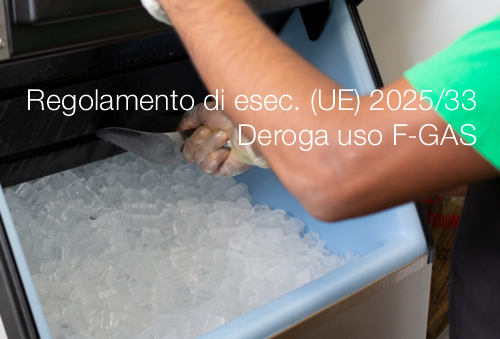 Regolamento di esec UE 2025 33 Regolamento di esec UE 2025 33