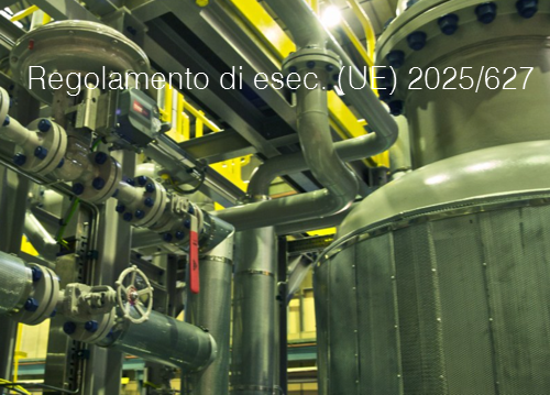 Regolamento di esecuzione UE 2025 627 Regolamento di esecuzione UE 2025 627