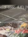 Decisione di esecuzione (UE) 2025/533 Decisione di esecuzione UE 2025 533